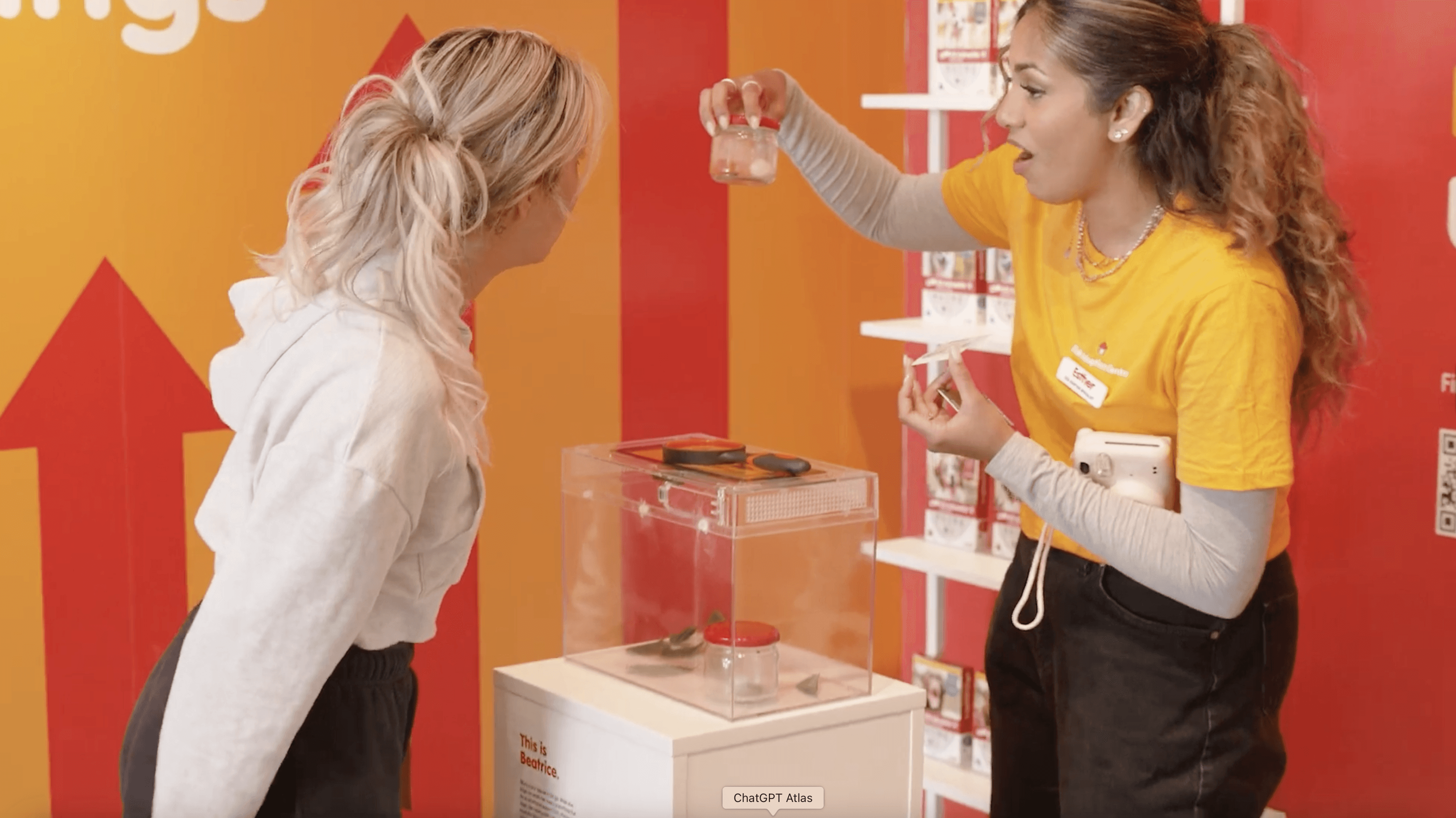 Dog Owner Observing Ticks