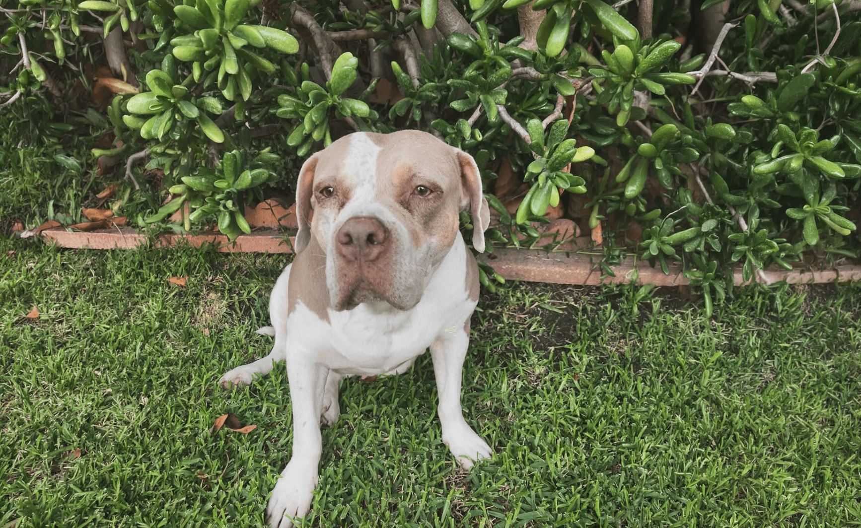 a group of people walking on a sidewalk