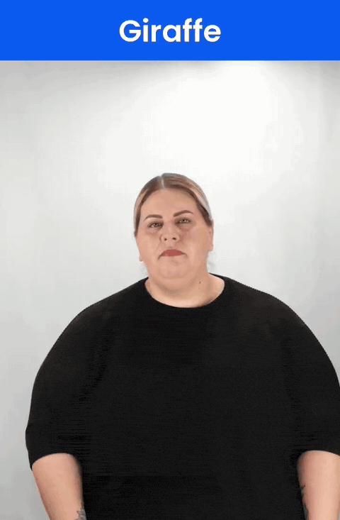 Animated GIF: a Deaf signer signs GIRAFFE in ASL, a C-shaped hand sliding up the neck to the chin.