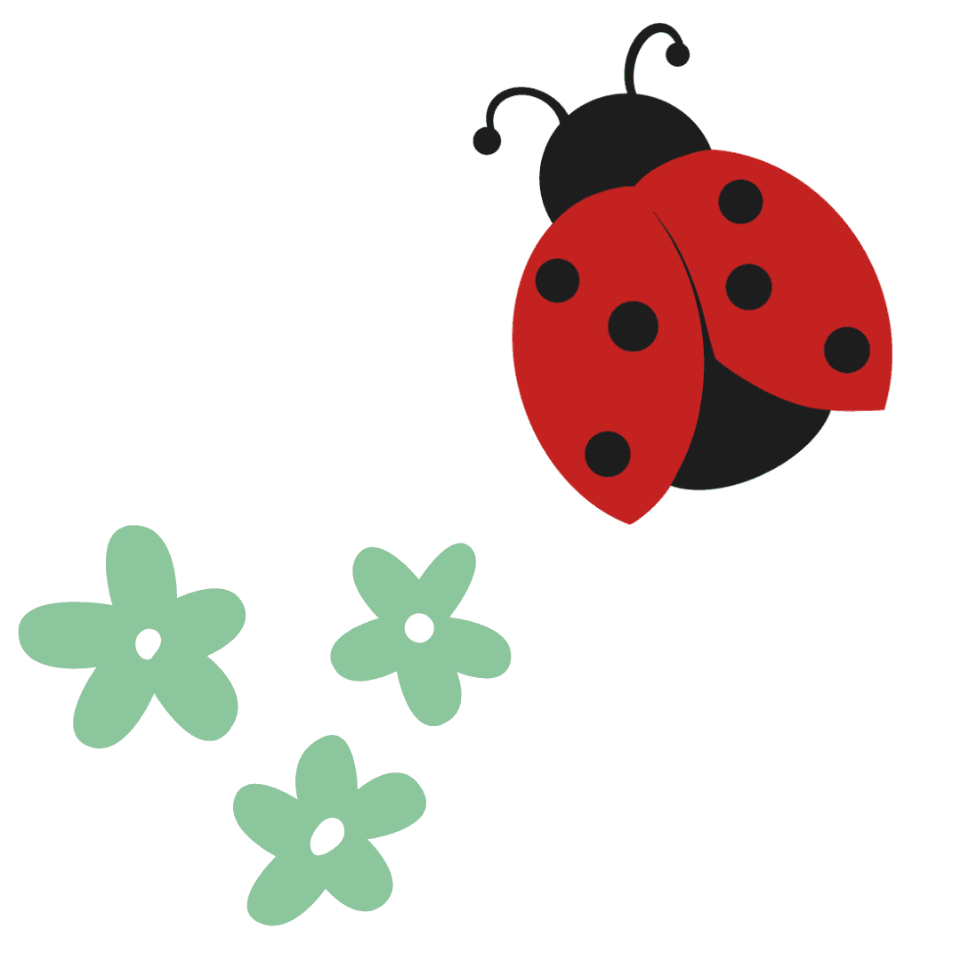 home page main image