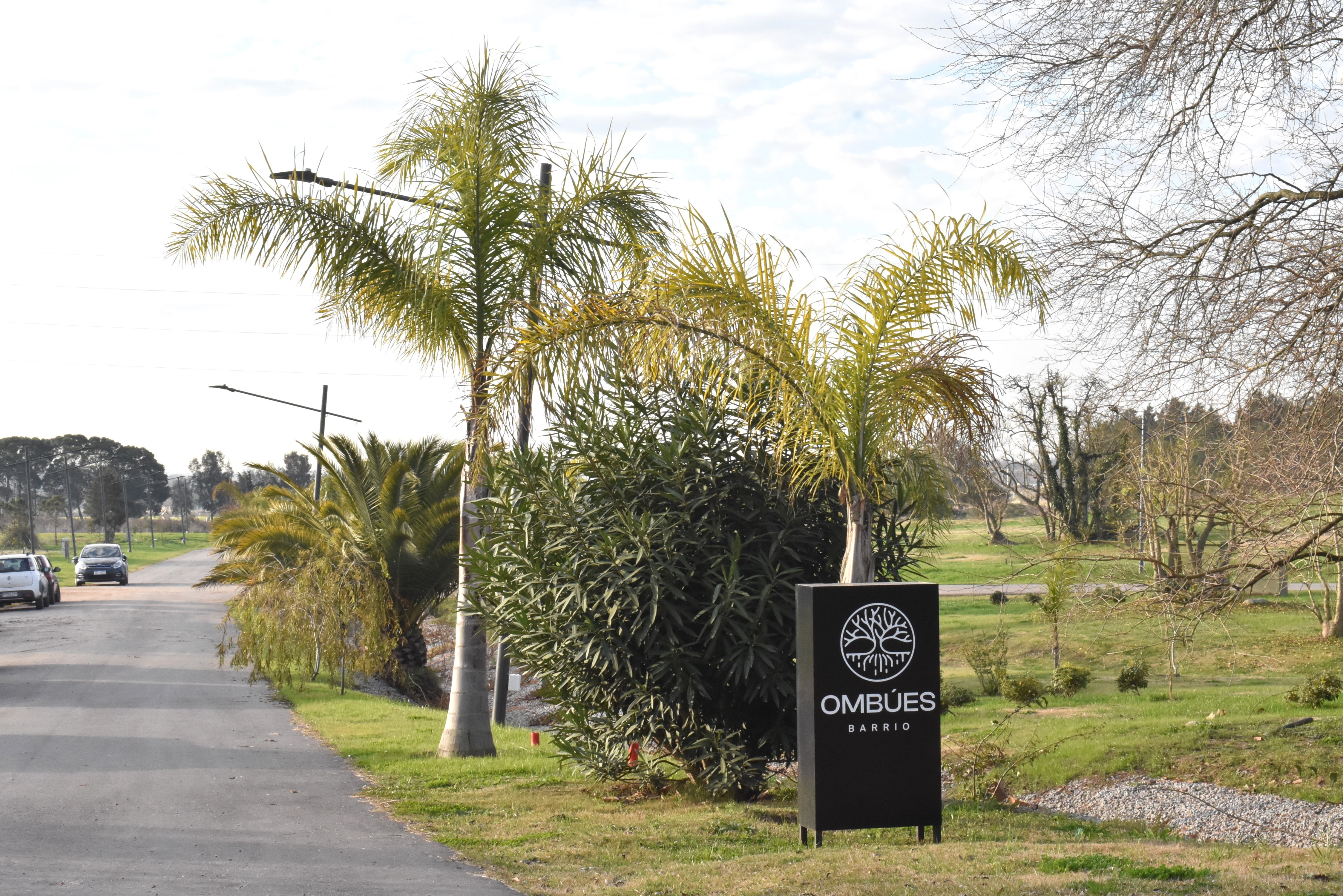 Athlete winning a race