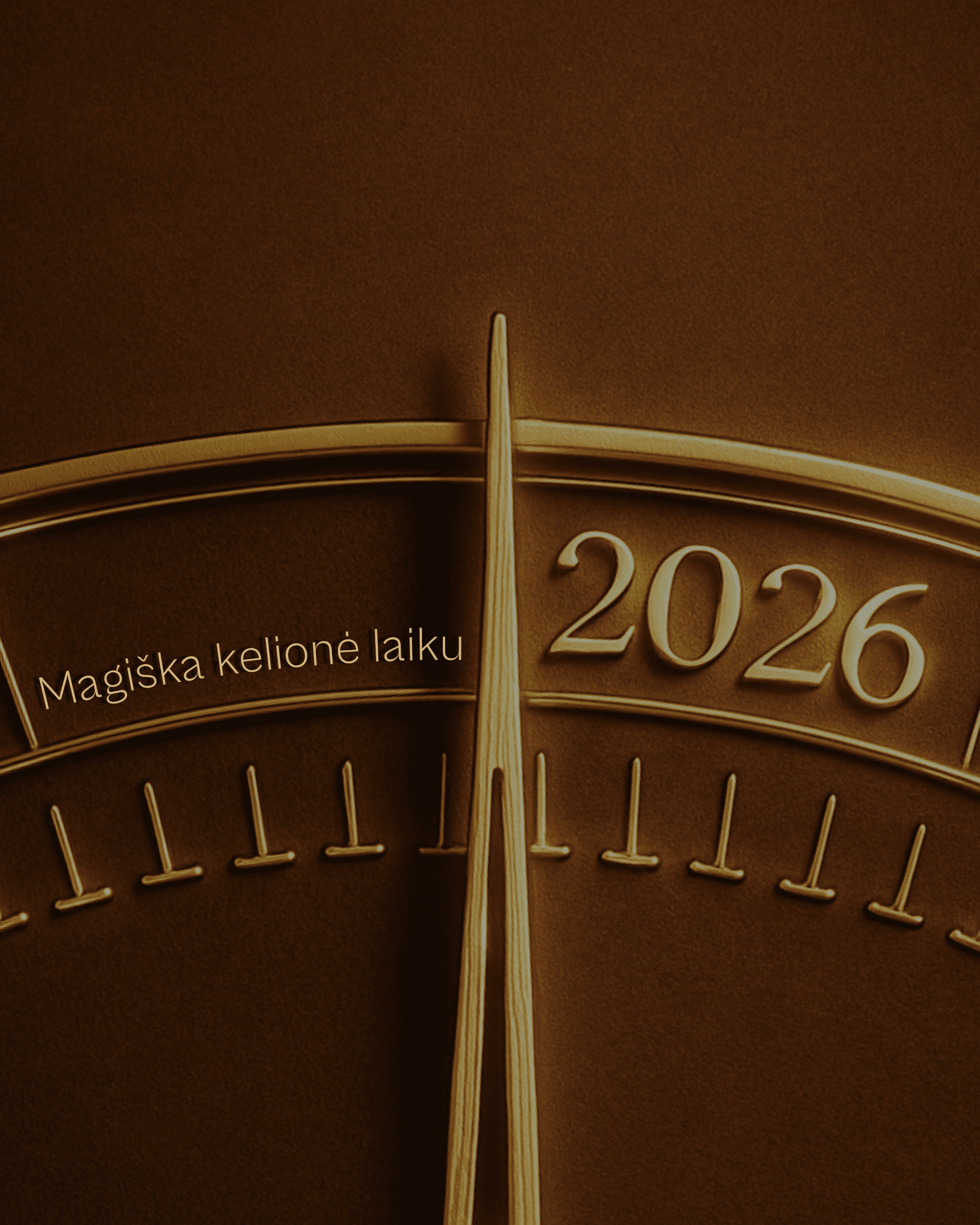 Naujametinis 2026 metų vakaras Birštone