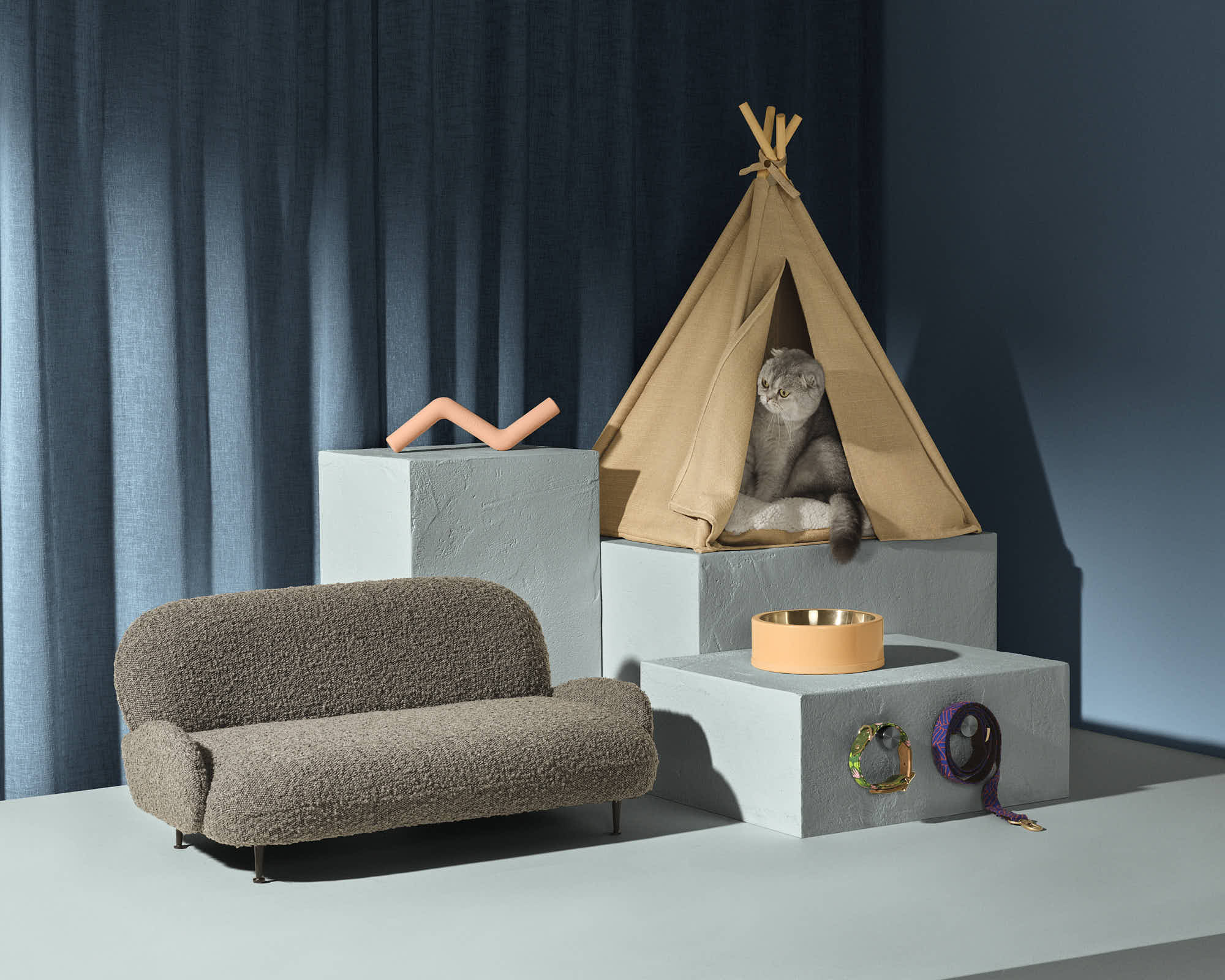 Modern pet-friendly living room with cat in cozy tent, plush sofa, and stylish decor.