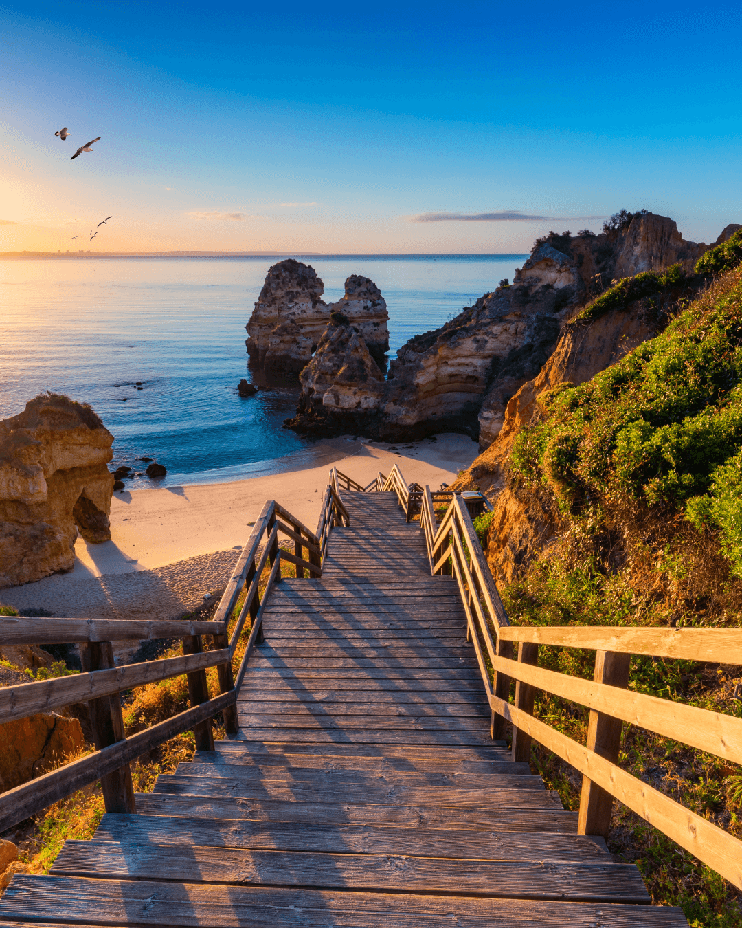 Close-up of a tree stump showing growth rings and a textured brown wood surface.