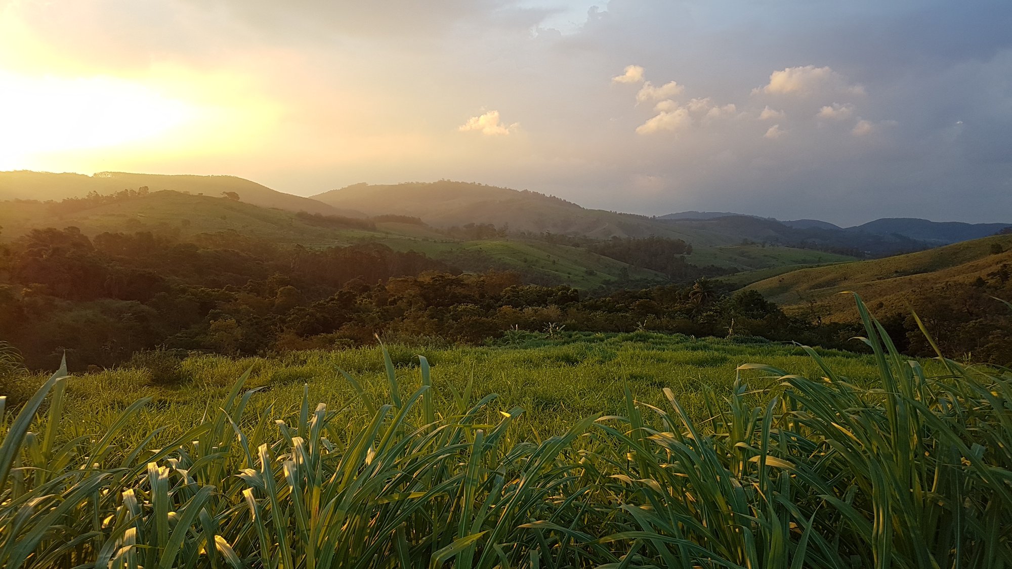 Pôr do sol sobre morros verdes, com capim florido em primeiro plano