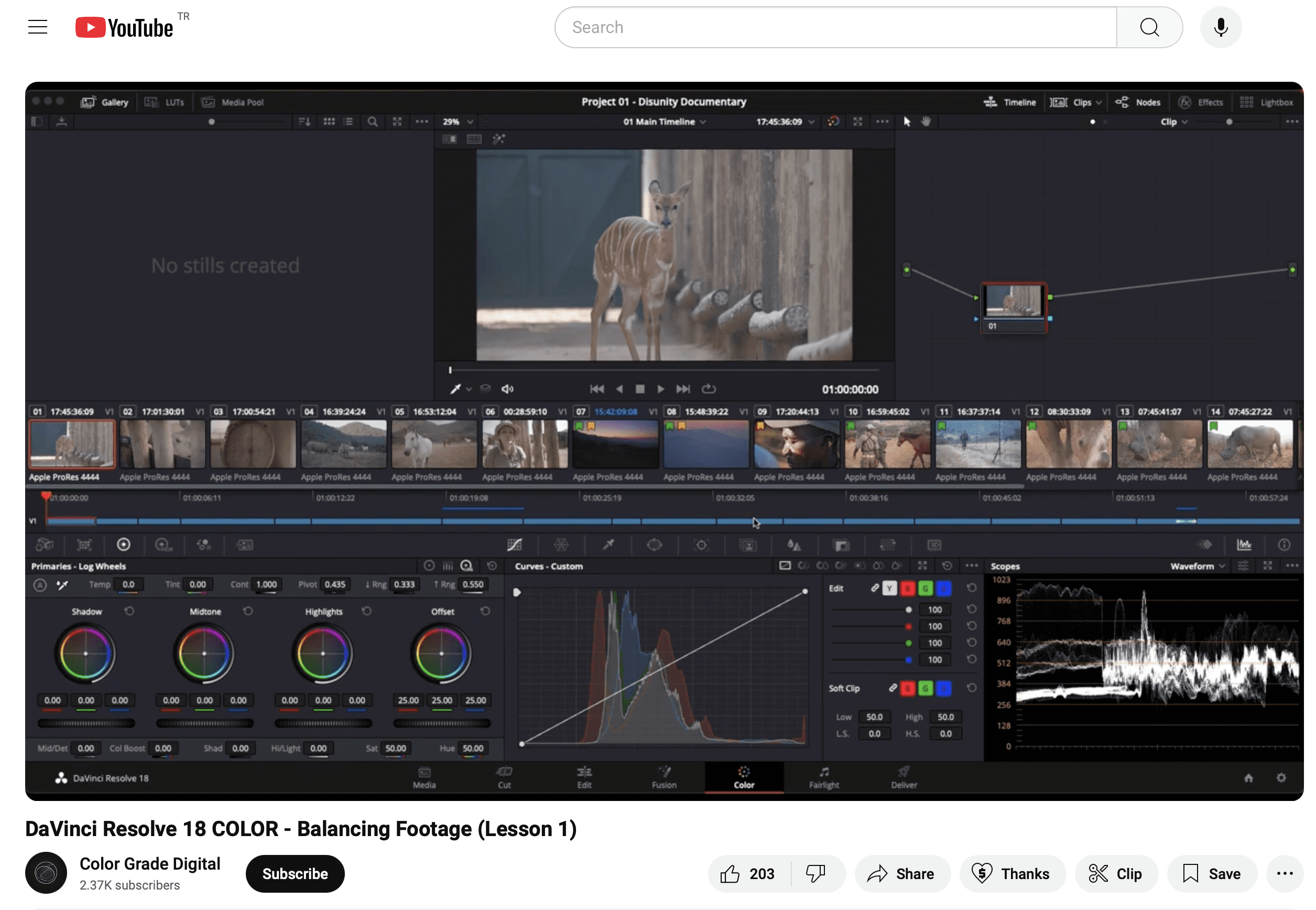 Best Color Grading Assets for DaVinci Resolve