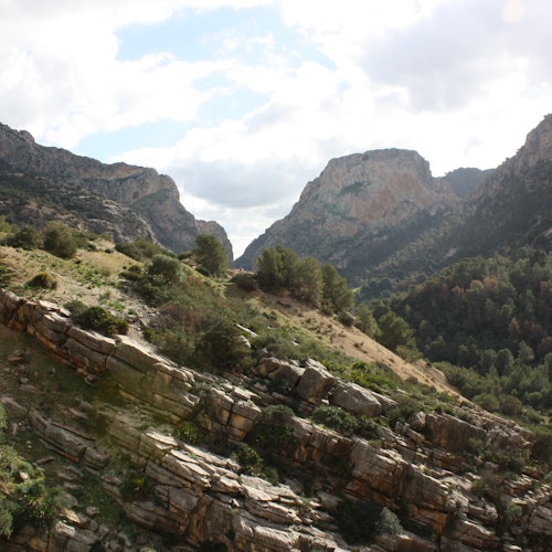 Caminito del Rey: Guided Day Tour from Granada tickets in Ardales