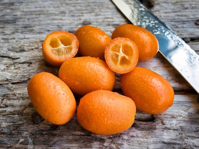 Kumquat