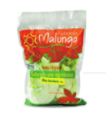 Foto de Alface Americana