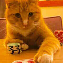 Profile image of success customer