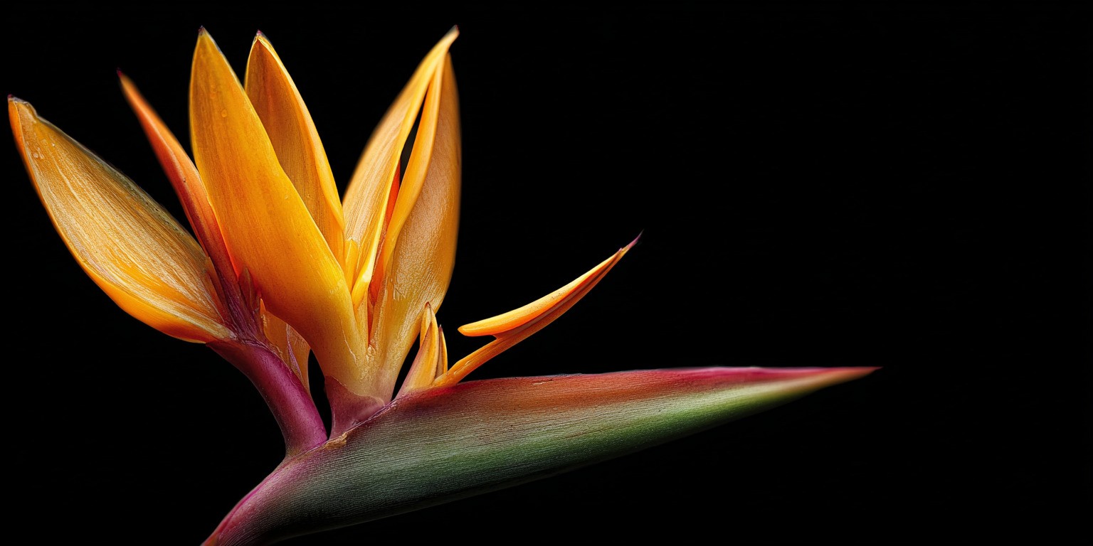 Discover how a well-crafted Pinterest marketing strategy can transform this visual platform into a powerful lever for driving qualified traffic to your e-commerce or B2C site.