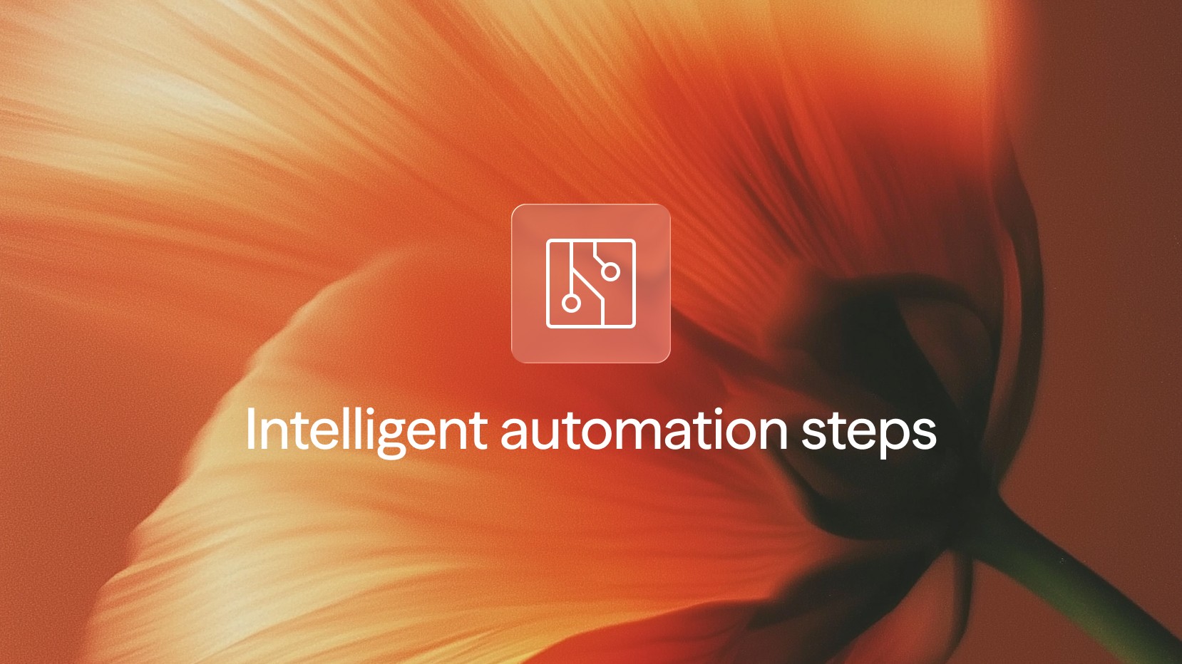 intelligent automation guide