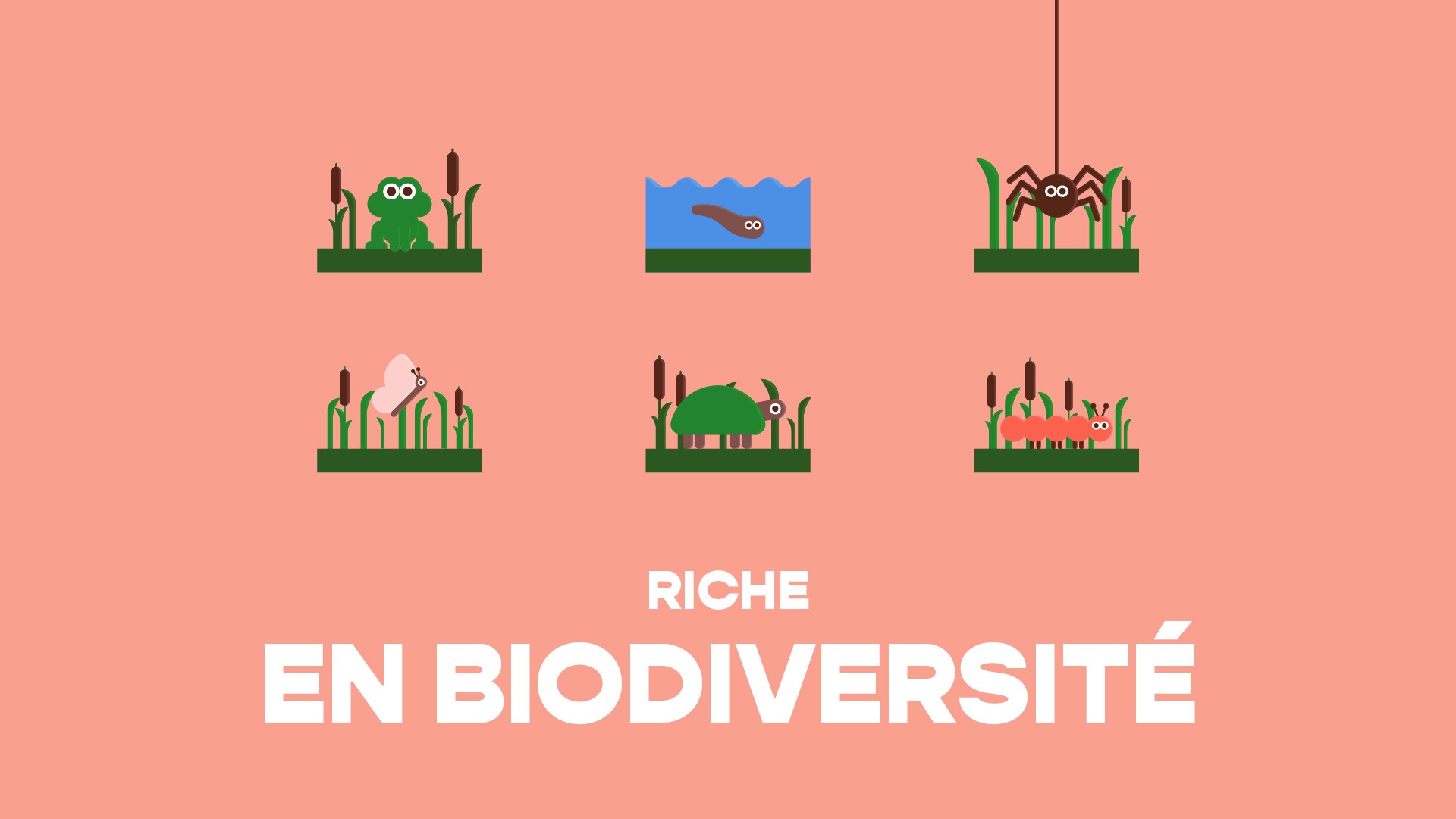 Planche 13 du storyboard