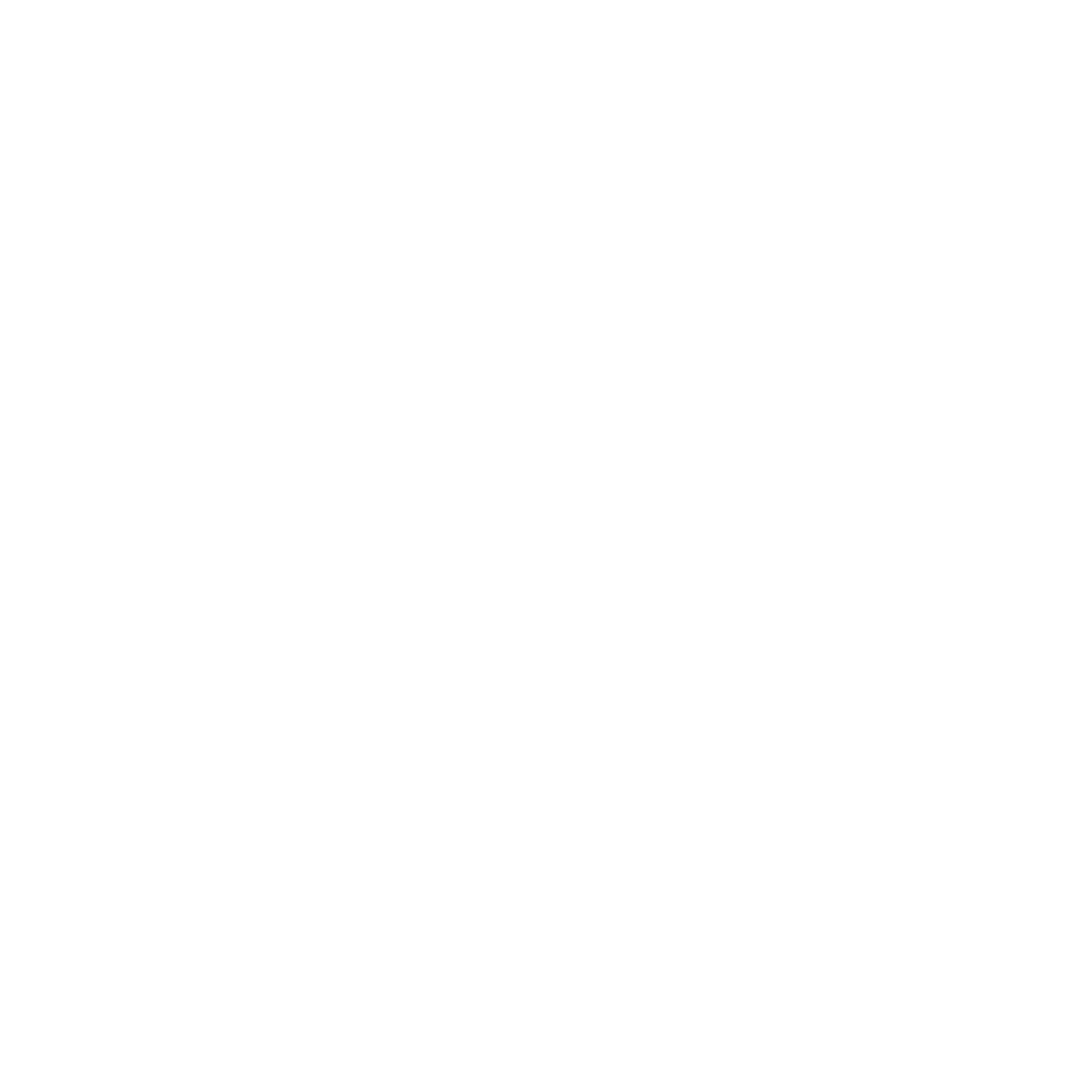 White Instagram Icon on a transparent Background