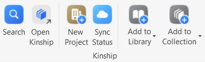 Click the “New Project” button in the add-in ribbon panel to launch a new model from a template.