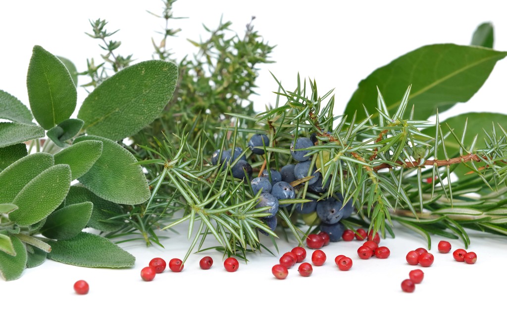 various herbs and red berries