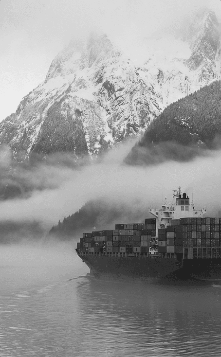 Supply Chain Ecosystem Support