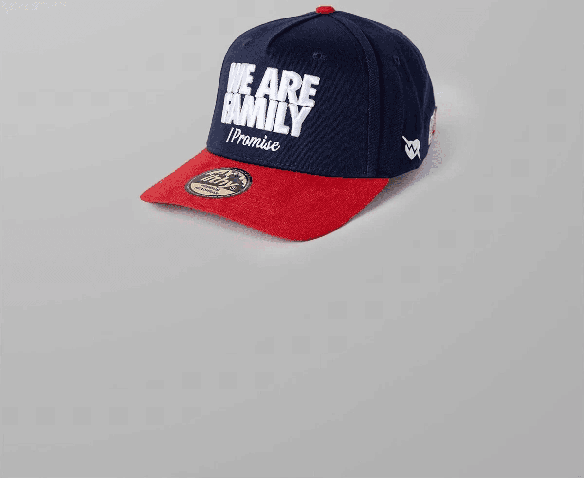 Dom Pérignon vineyards from the sky