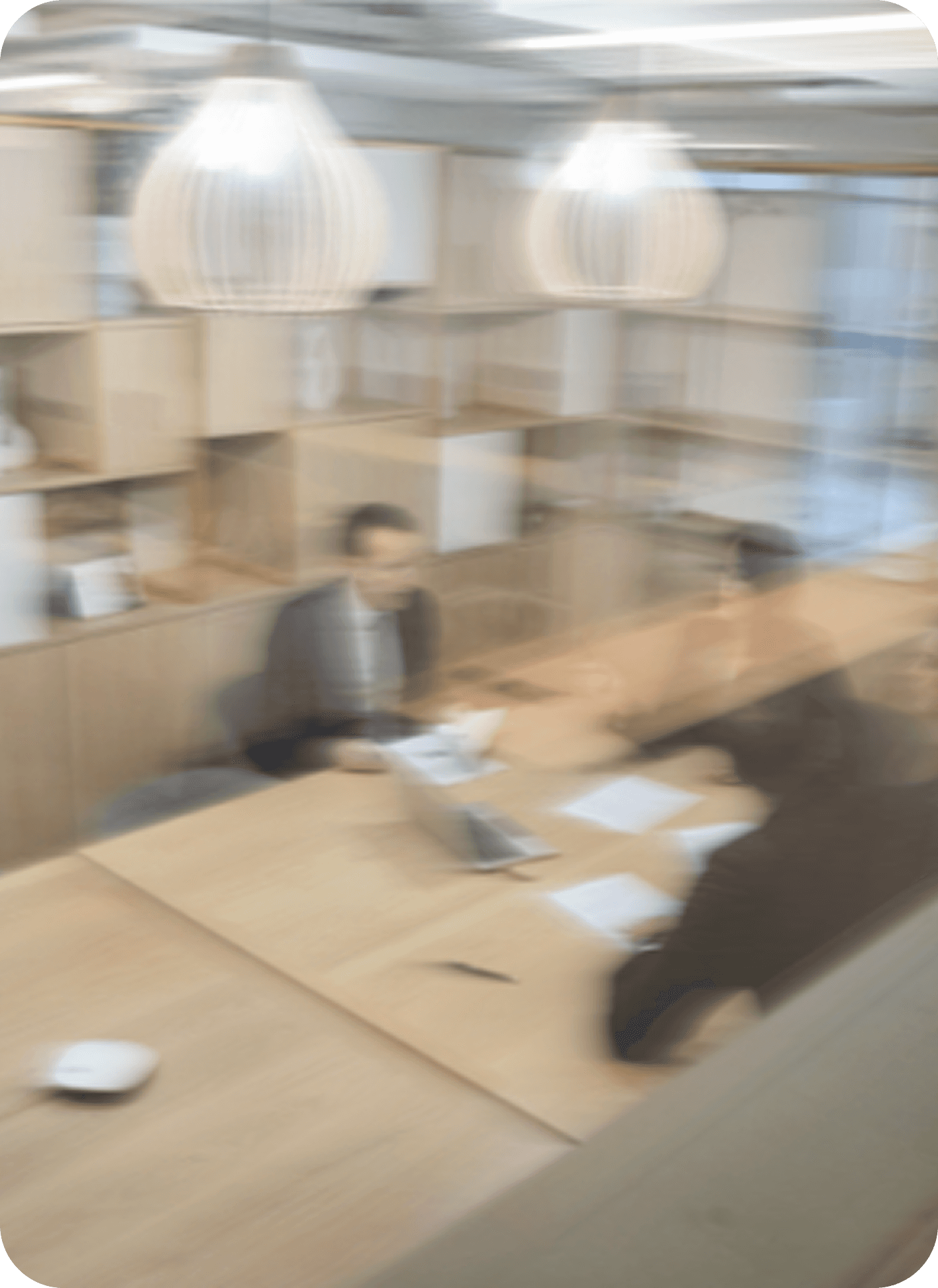 Professional Services