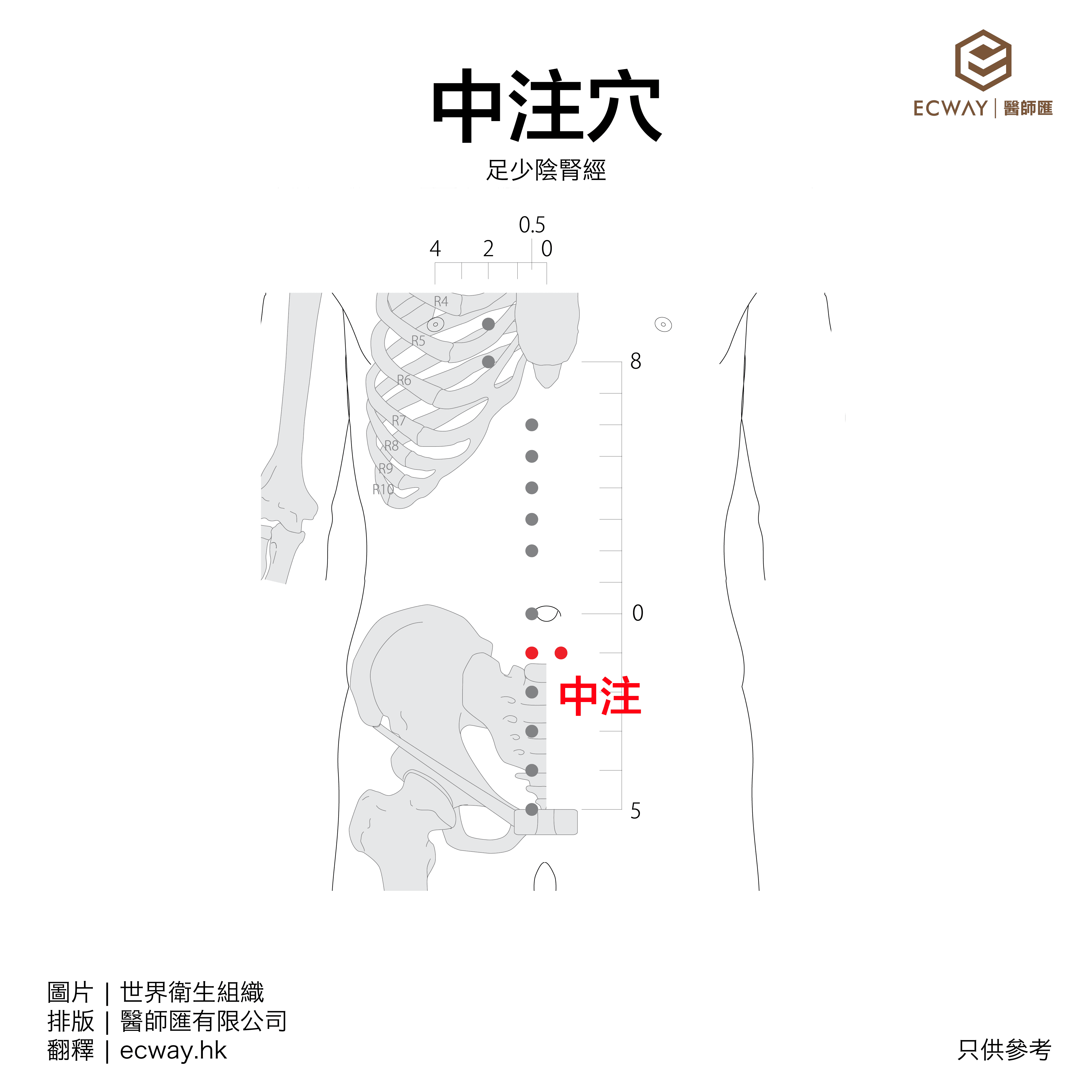 中注穴