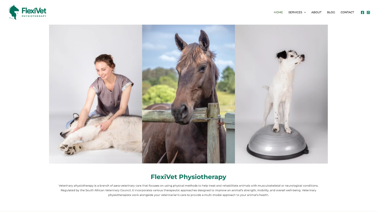 screenshot of flexivet.co.za - homepage