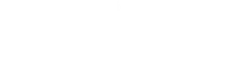 ADEM Precision logo