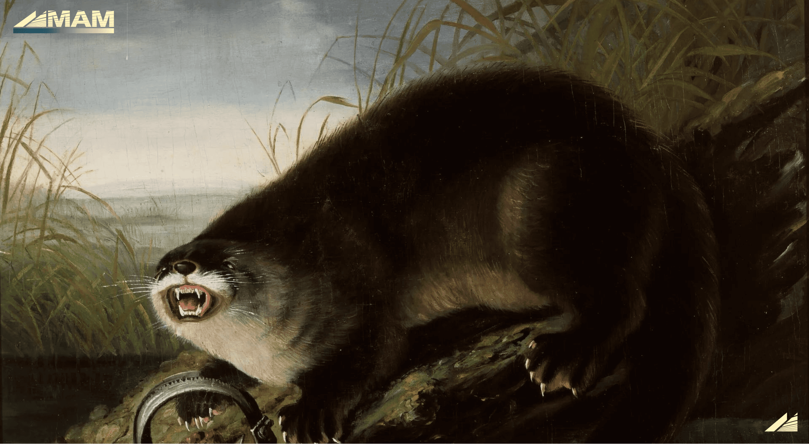 A profile picture of this person