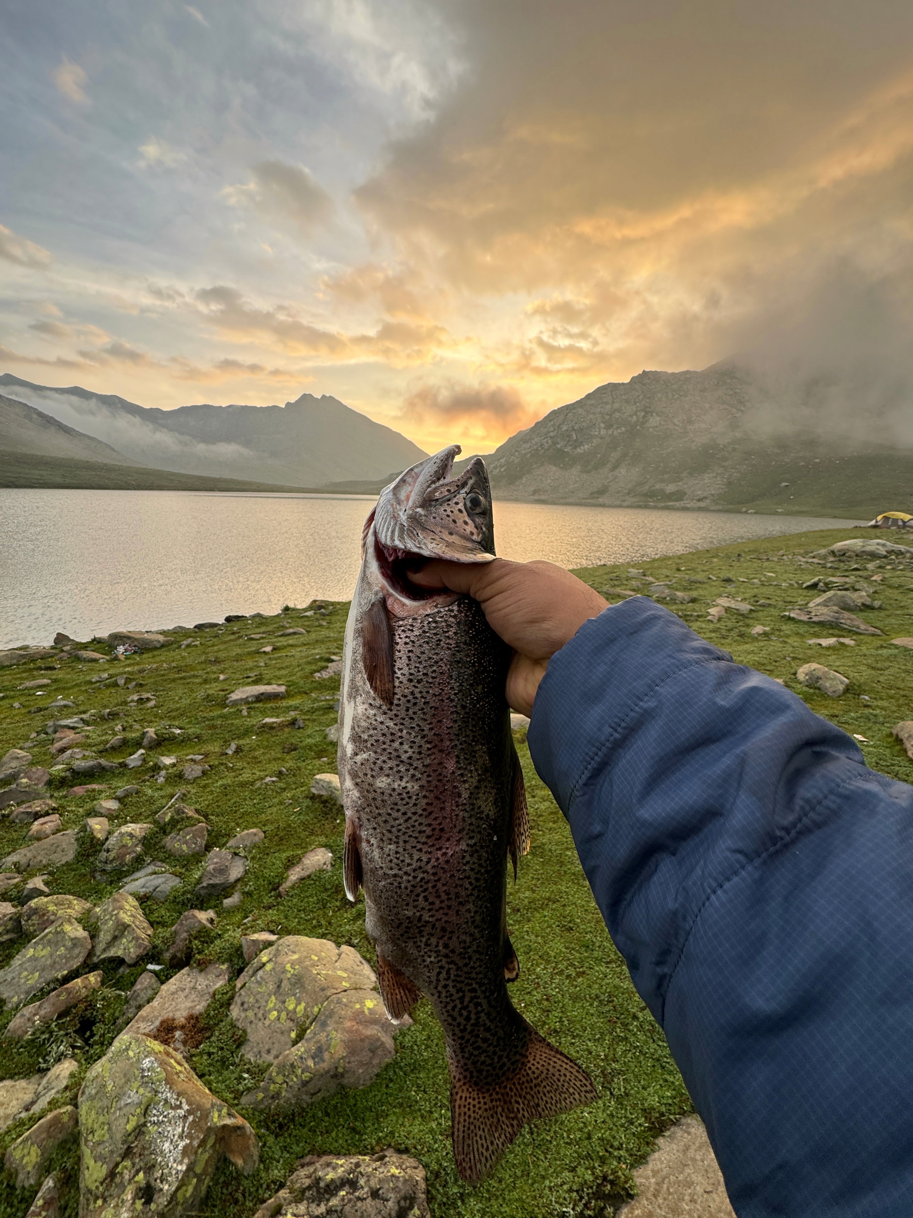 A kid practicing surfing