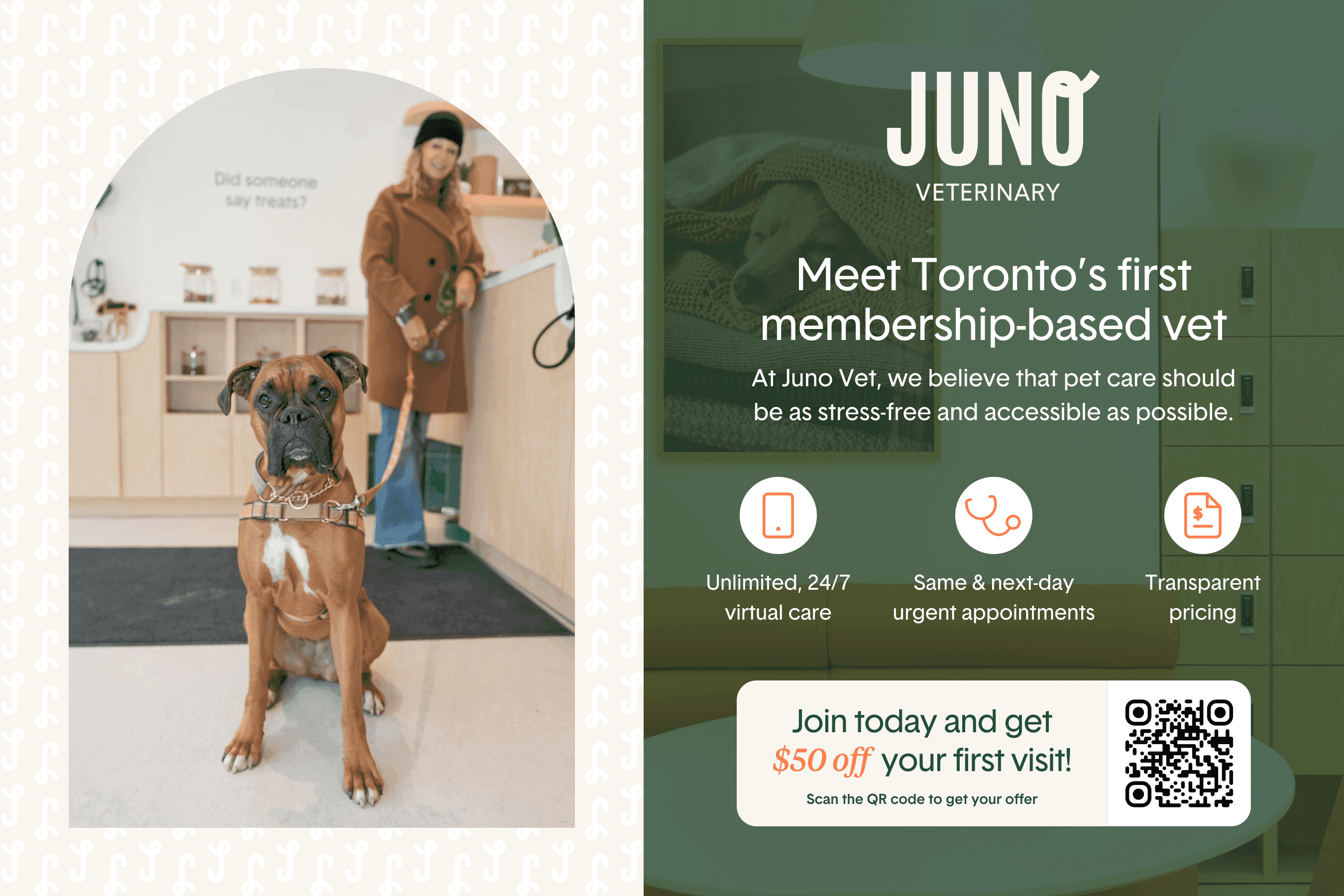 Juno Pet Vet Direct Mail Postcard