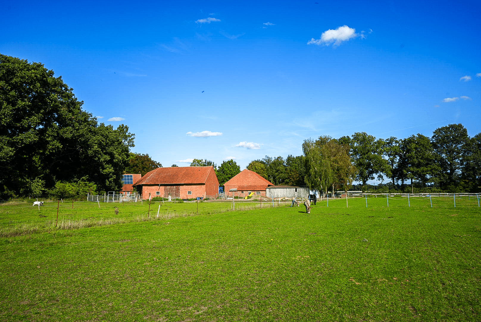 Irrigation systems
