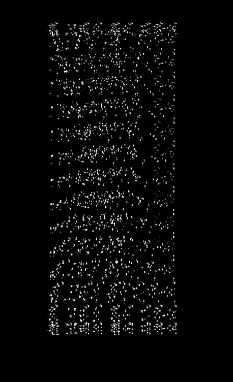 작가 홍한별의 흰 고래의 흼에 대하여 책 표지