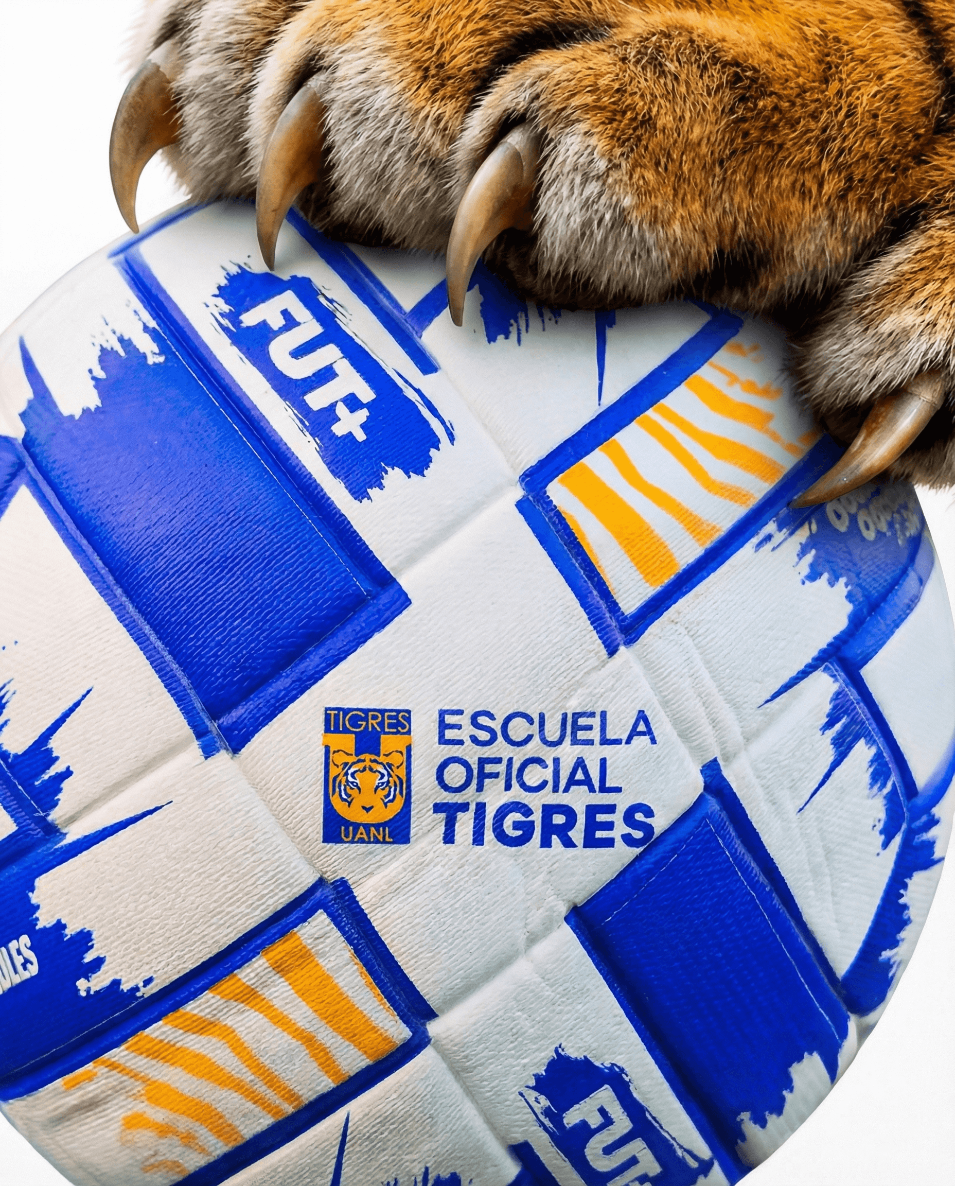 Escuela Tigres Oficial