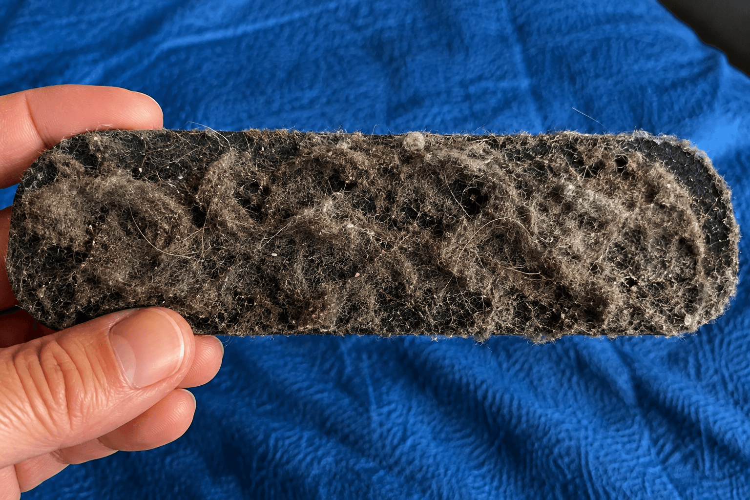 AI-generated close-up of household dust, lint and hair on a black ceiling-fan filter