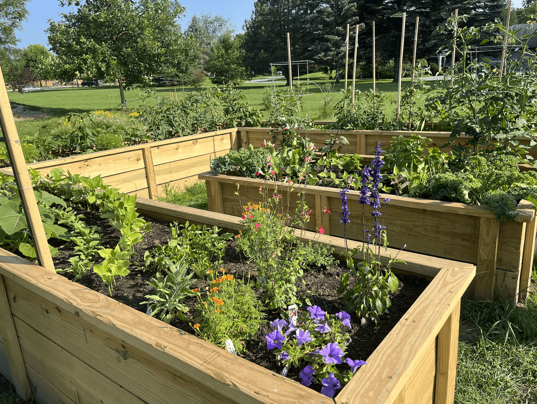 Raised beds in Davis Park, built by Manny Hutter and students in 2023