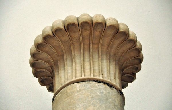 Senior man sits thoughtfully on a park bench during autumn, surrounded by bare trees and soft, golden sunlight filtering through the branches.