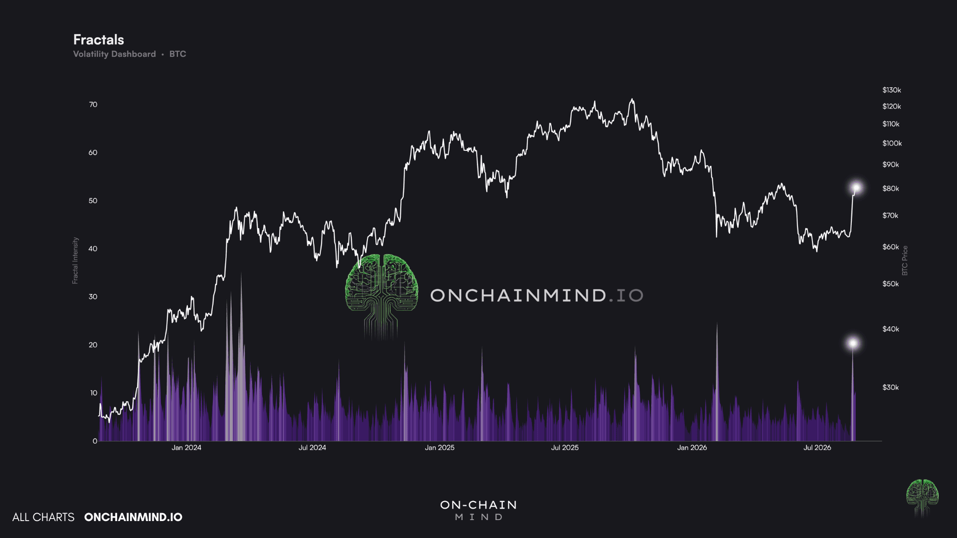 Volatility Fractals