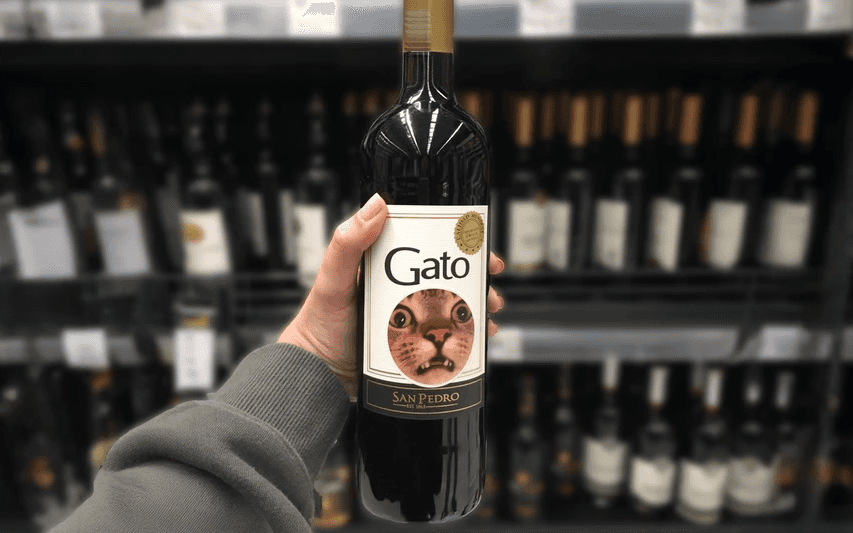 Album Photo Real Mehedi Free Framer Template Photography