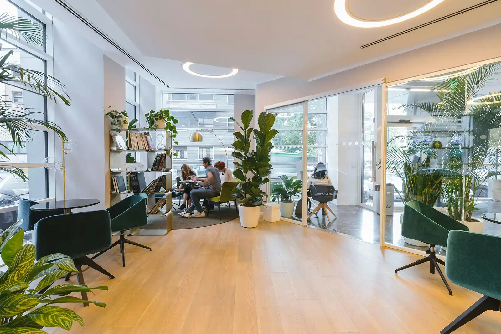 An office with green plants