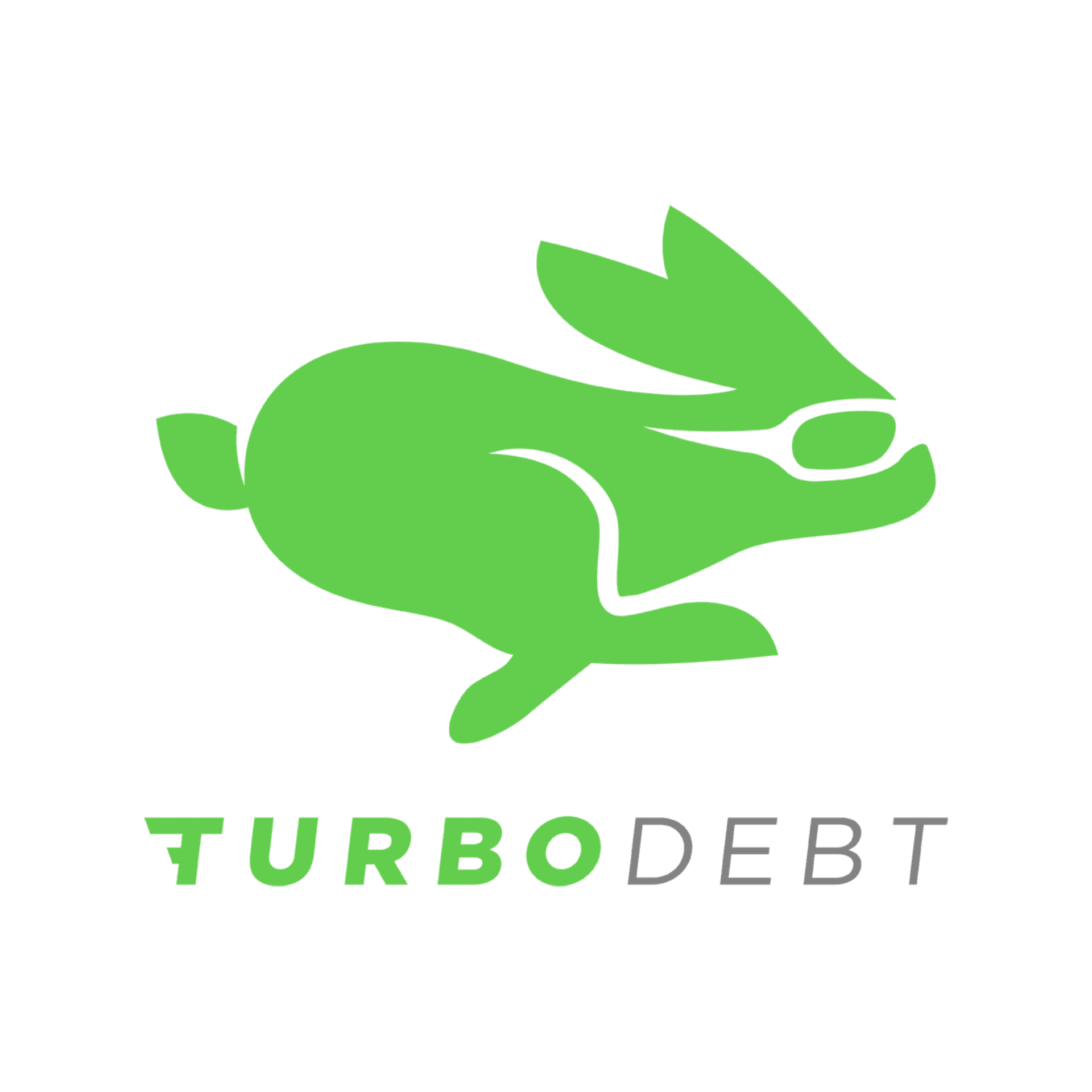 LendAPI FinTech Marketplace - TurboDebt - Marketing Services