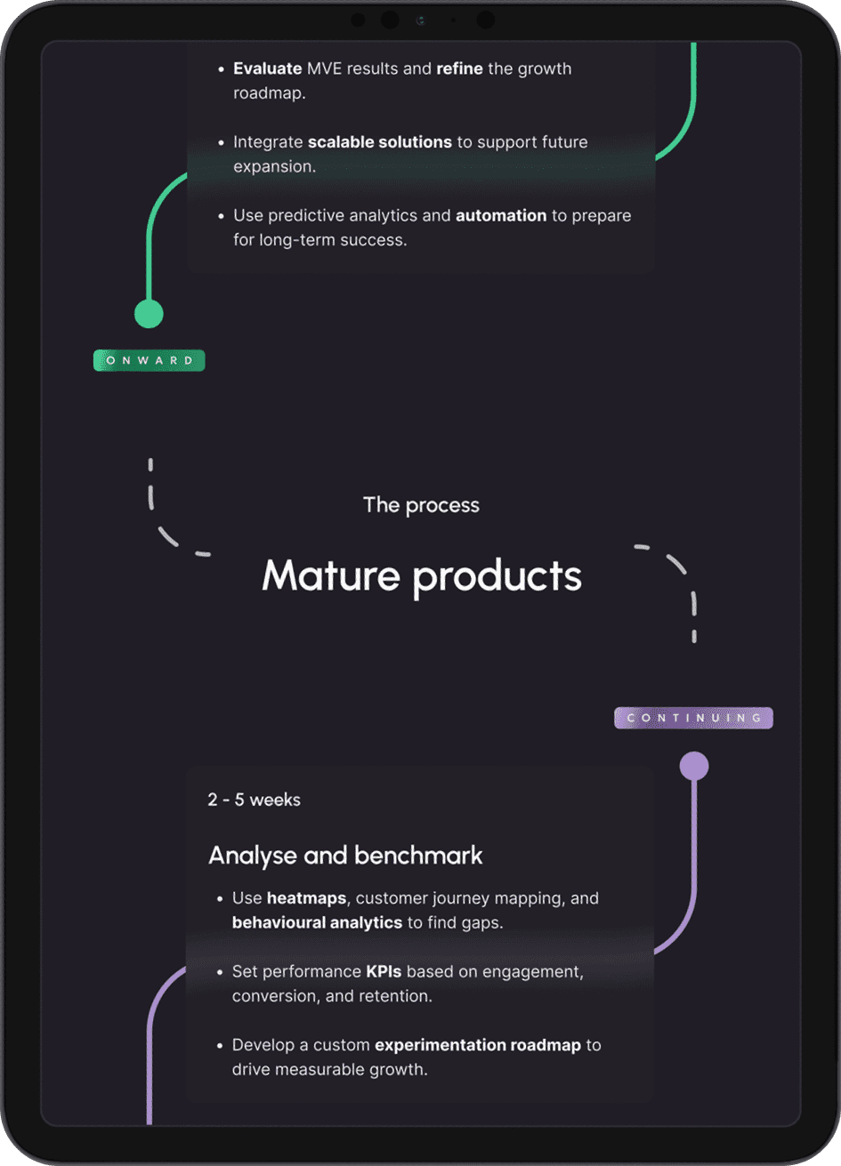 'The process' demonstrating how TopFlight works with early stage and mature products