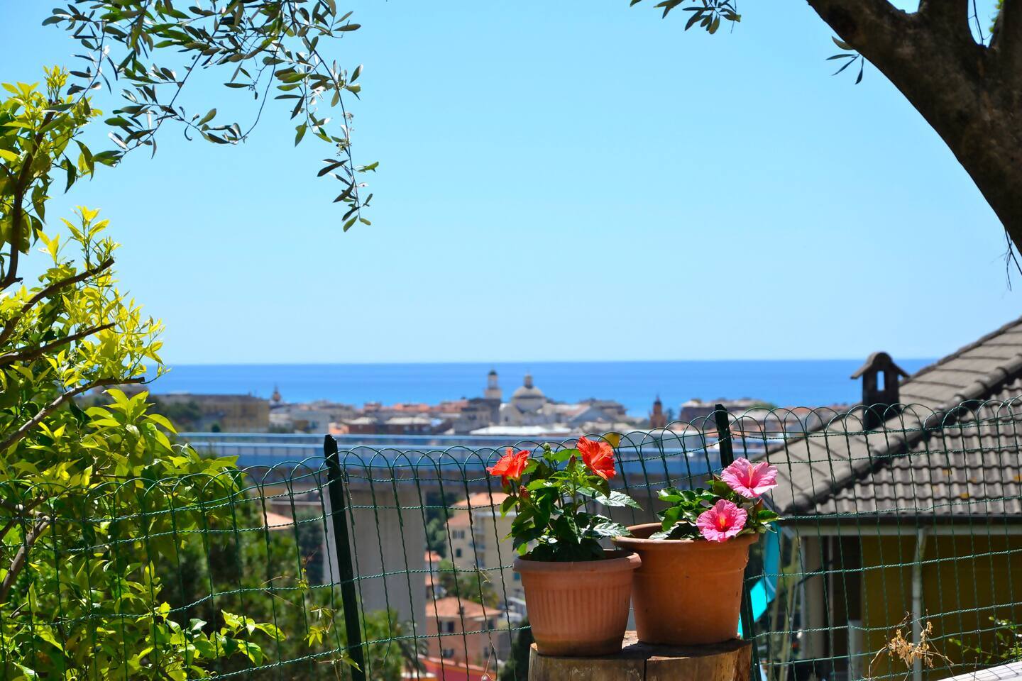 Villa Daria, foto 8