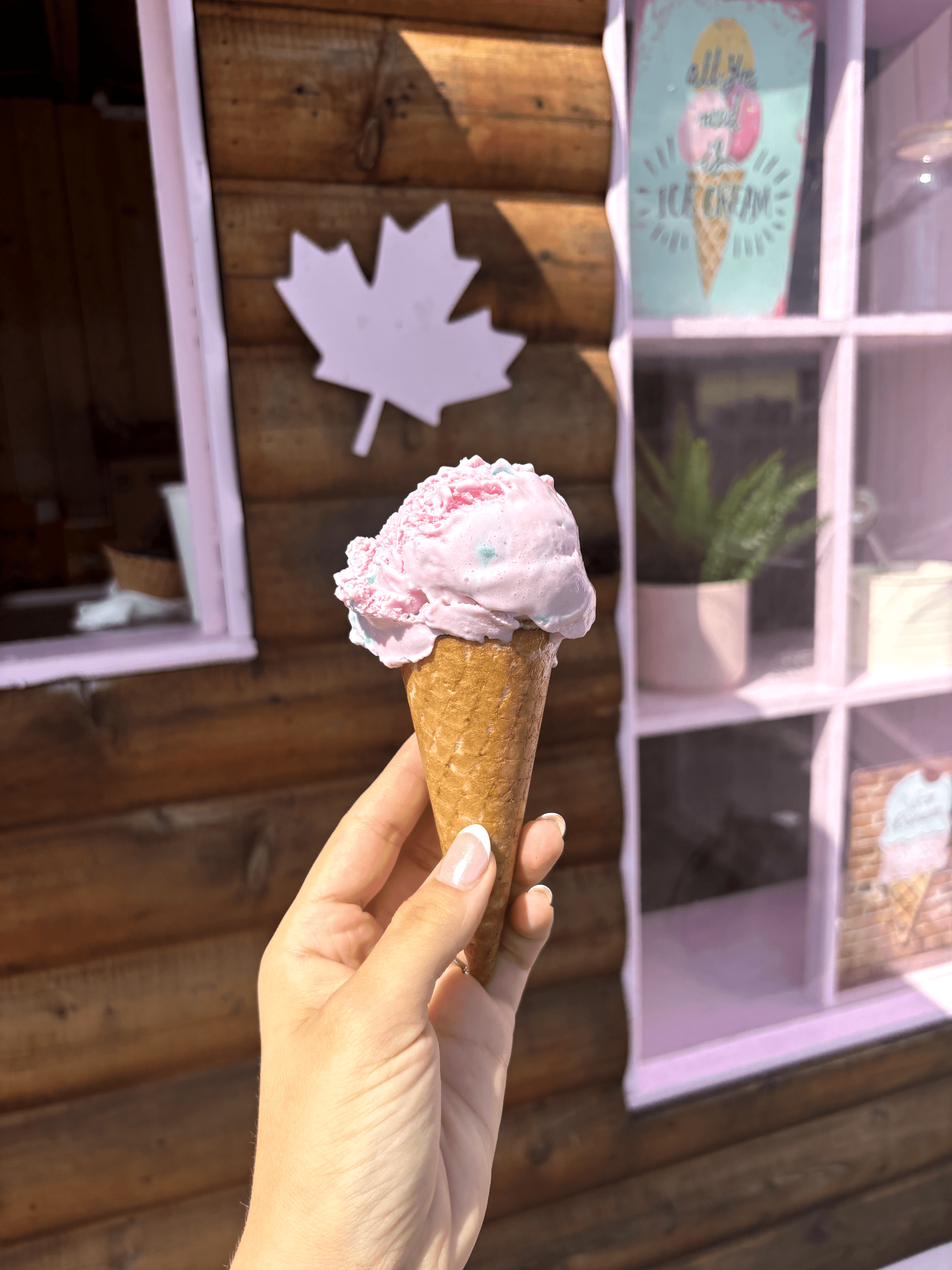 Sugar cone filled with pink, cotton candy ice cream pictured in front of the cute Le P'tit ice cream trailer