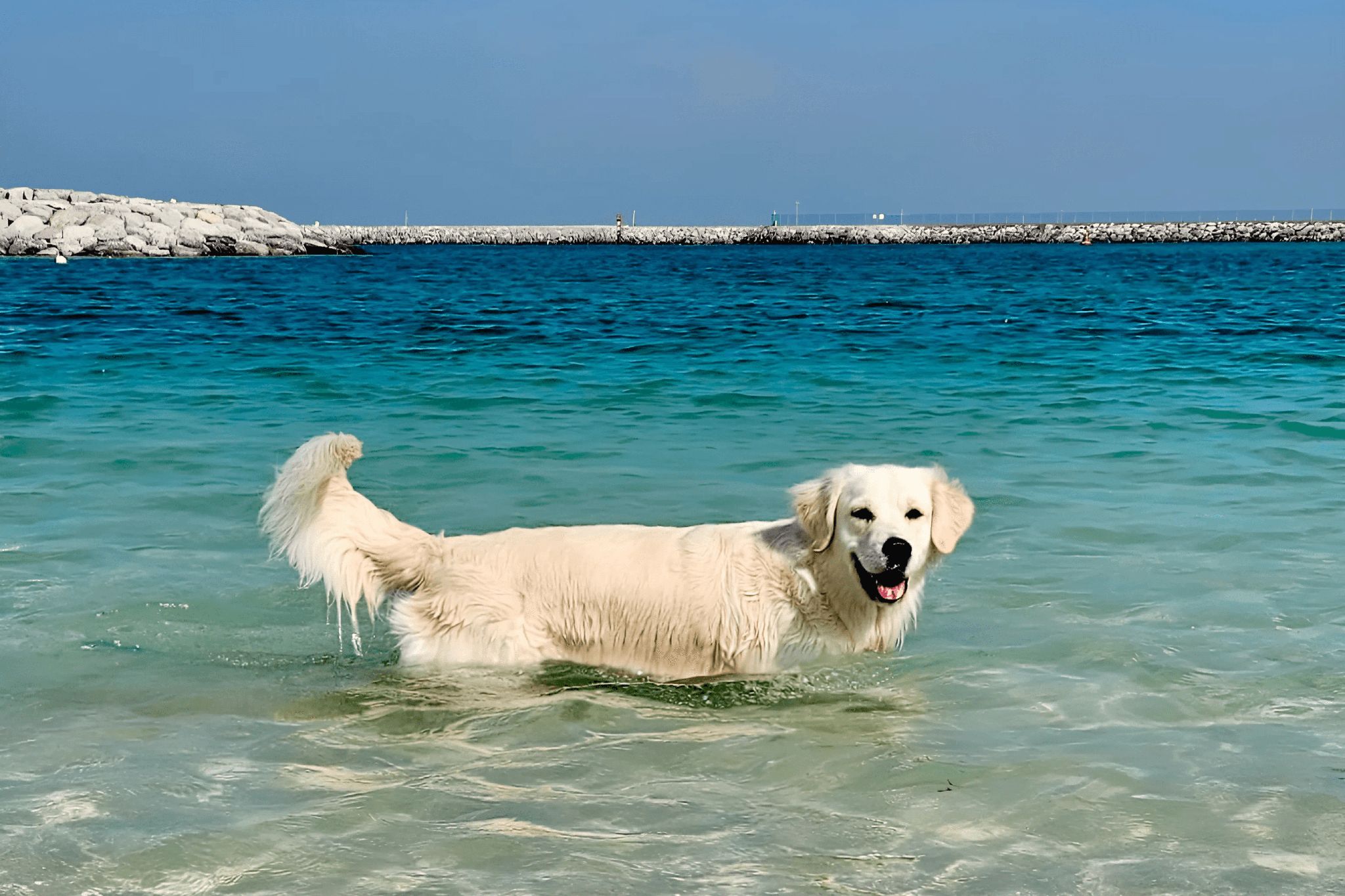 Flopster Beach