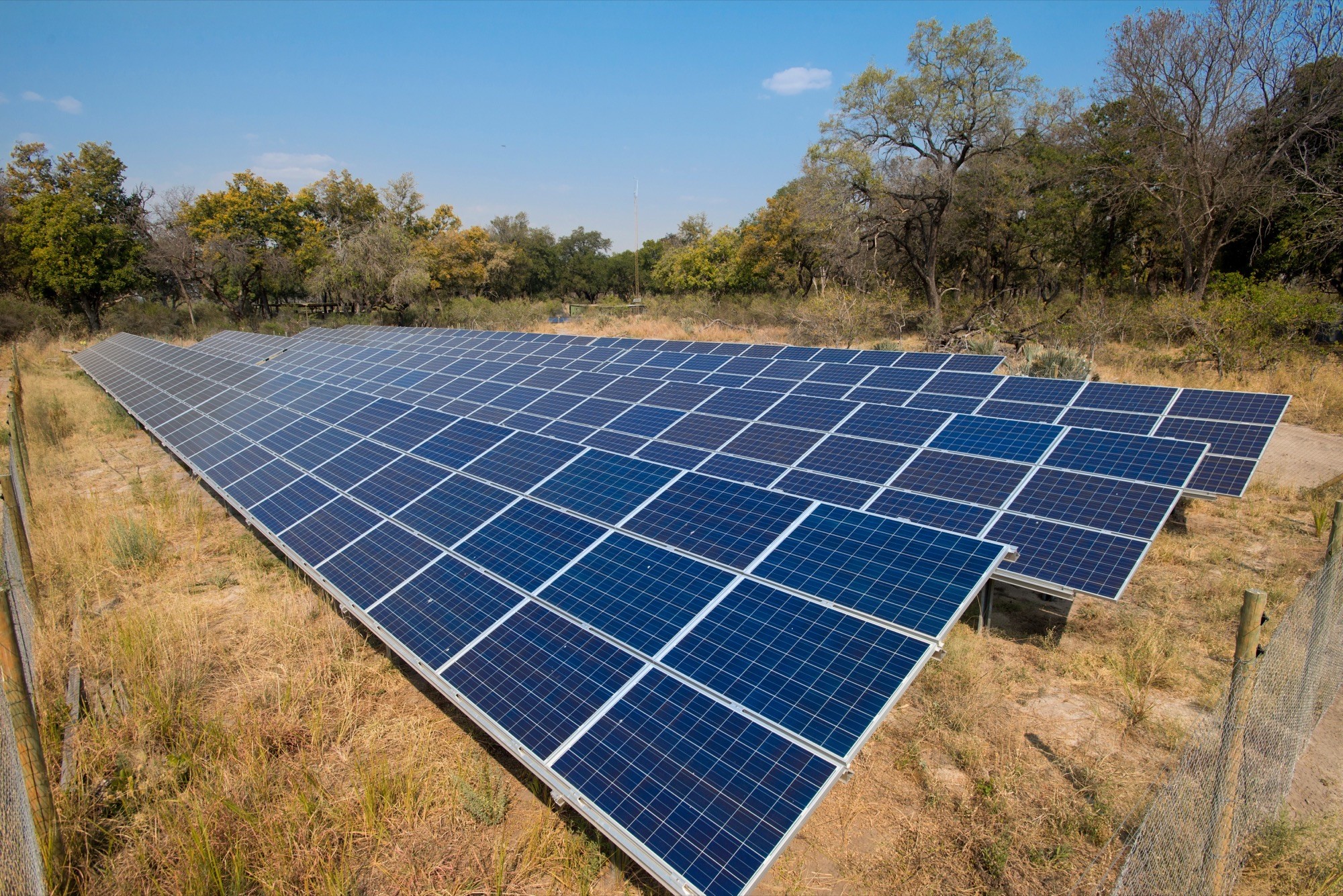 A solar array powering a safari camp, set among bush and grass