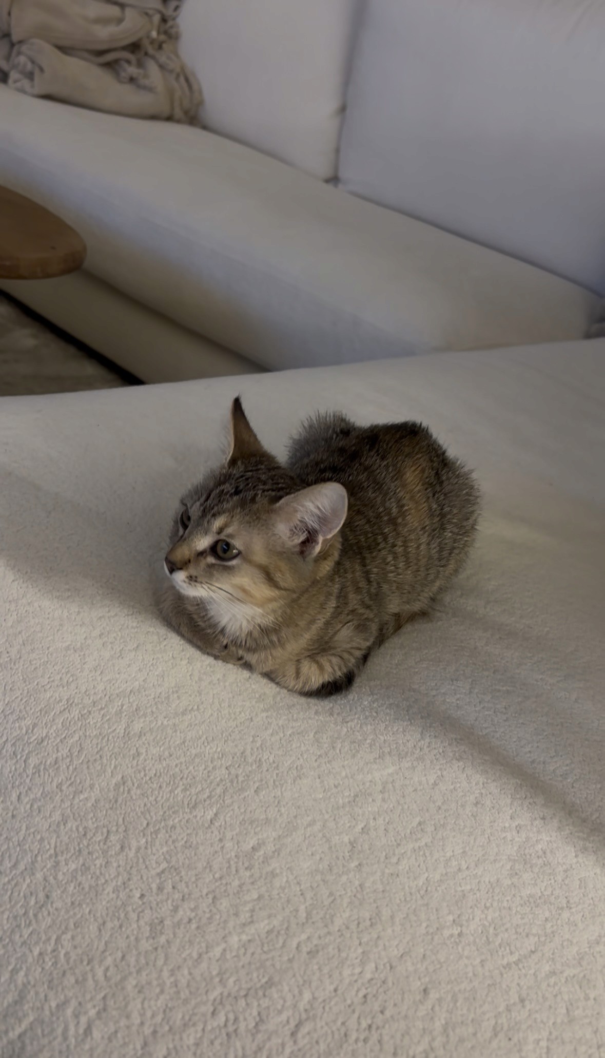 A close-up of two people holding hands, one wearing a denim jacket. The background is softly blurred, suggesting a tender, intimate moment in warm light.