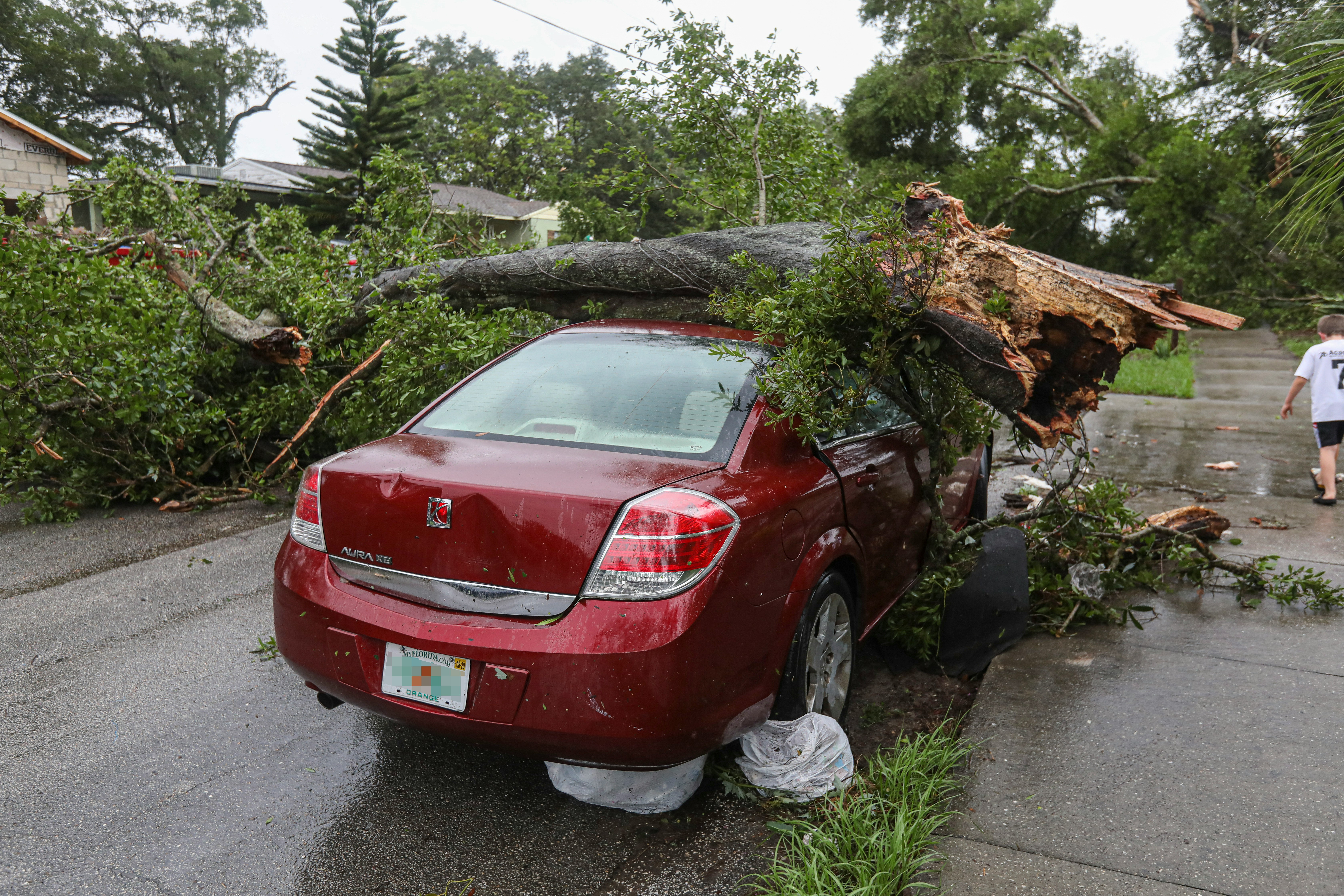 Fallen Tree Roof Damage