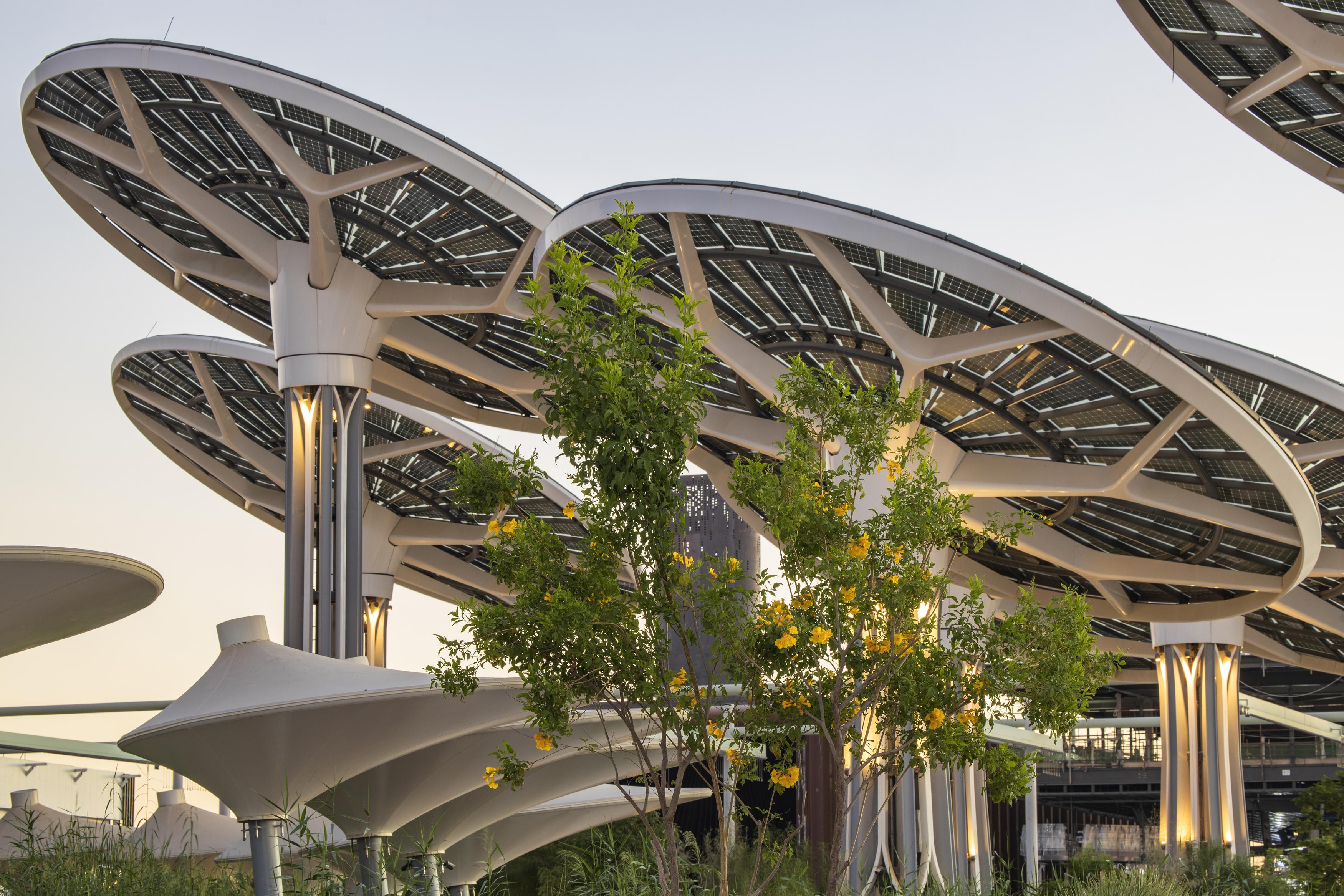 Expo City sustainable city