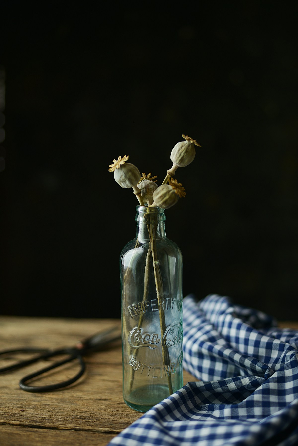 Dried poppy stems in a vintage glass bottle
