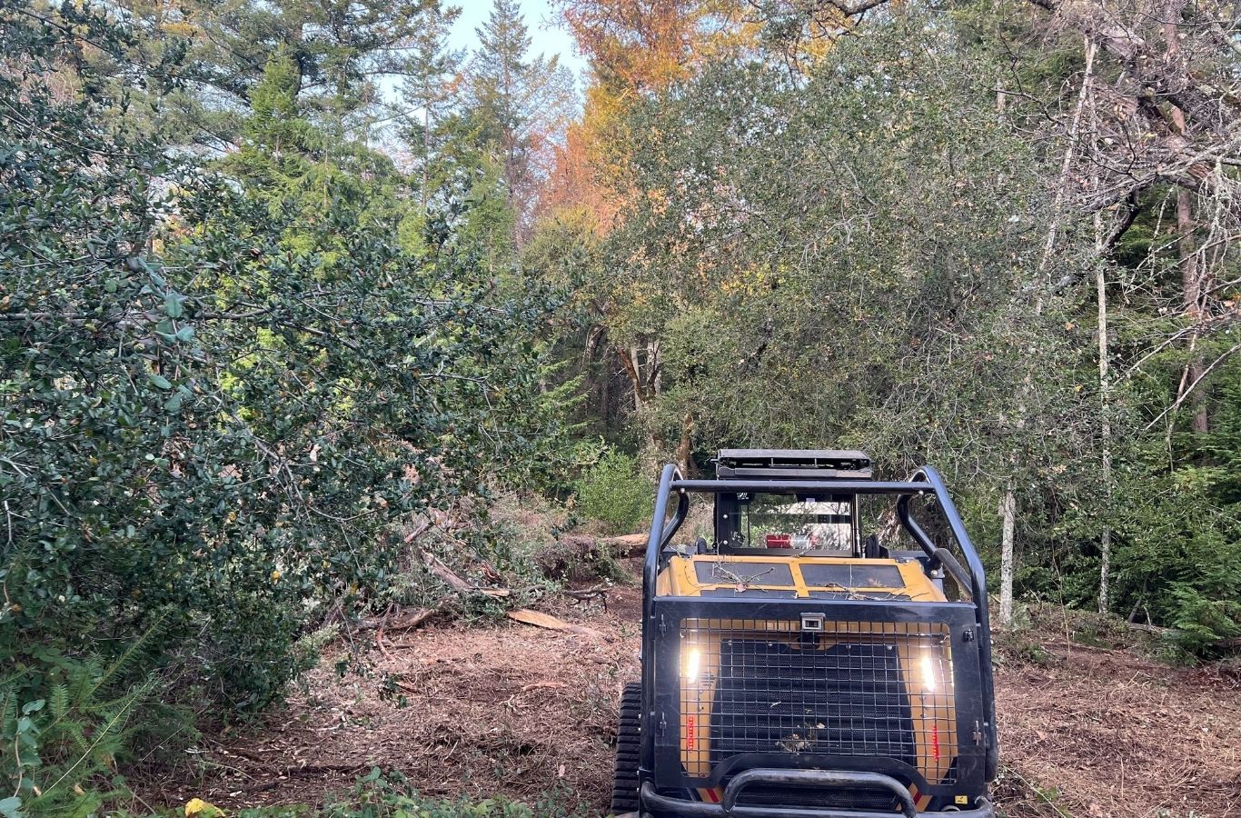 Lisac General Engineering expert performing land clearing services in Corralitos, CA with professional equipment and site prep expertise. Land Clearing Services Near Me.