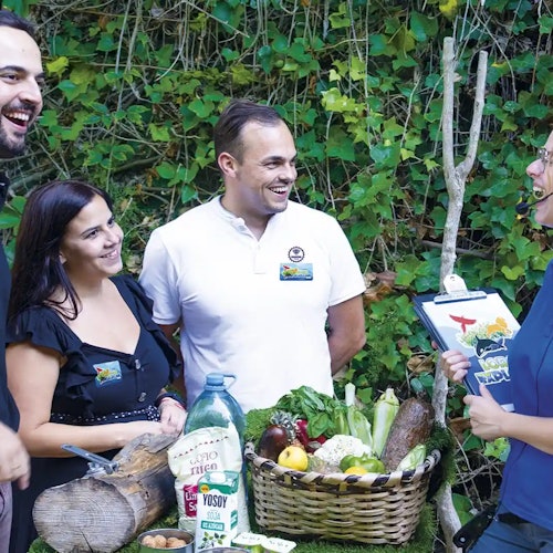 Jejich Průzkum - Gorily